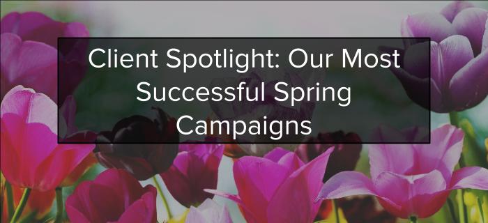 Client Spring Spotlight